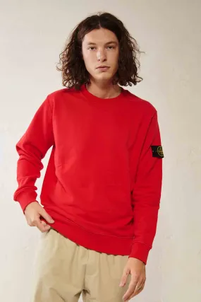 STONE ISLAND Felpa girocollo in cotone tinto in capo