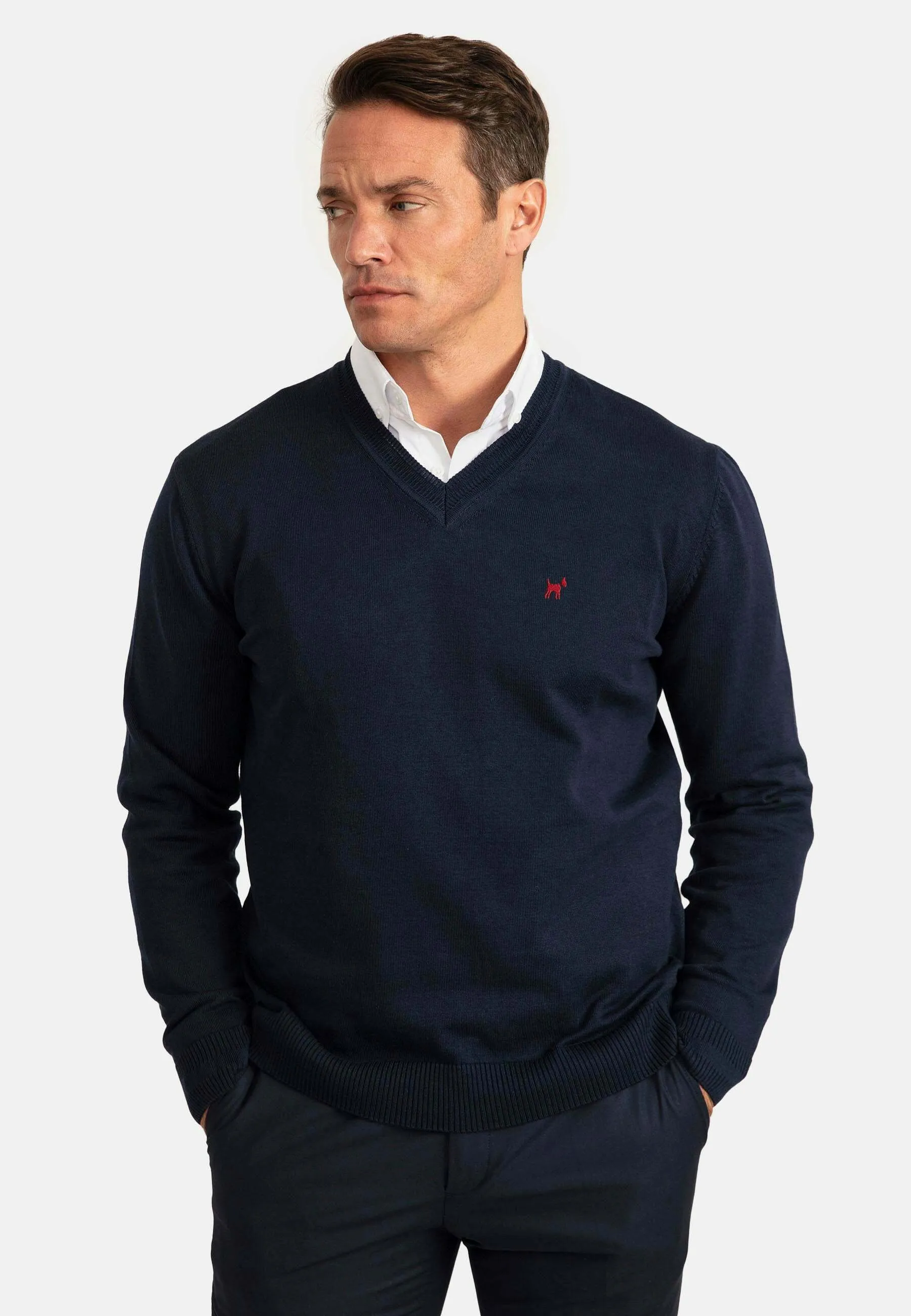 V-NECK - Maglione